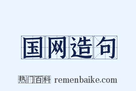 国网造句是什么意思的图片